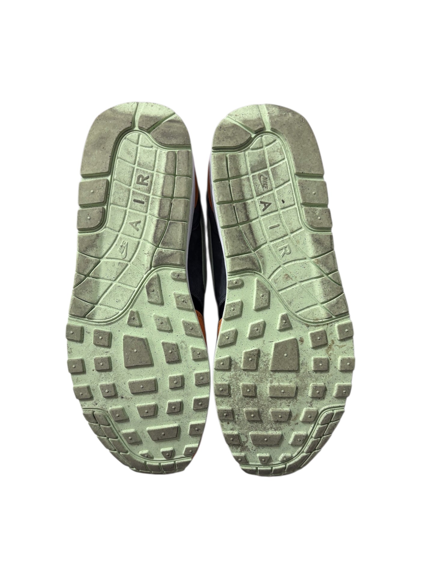 Duck Honey Dew Nike Air Max 1