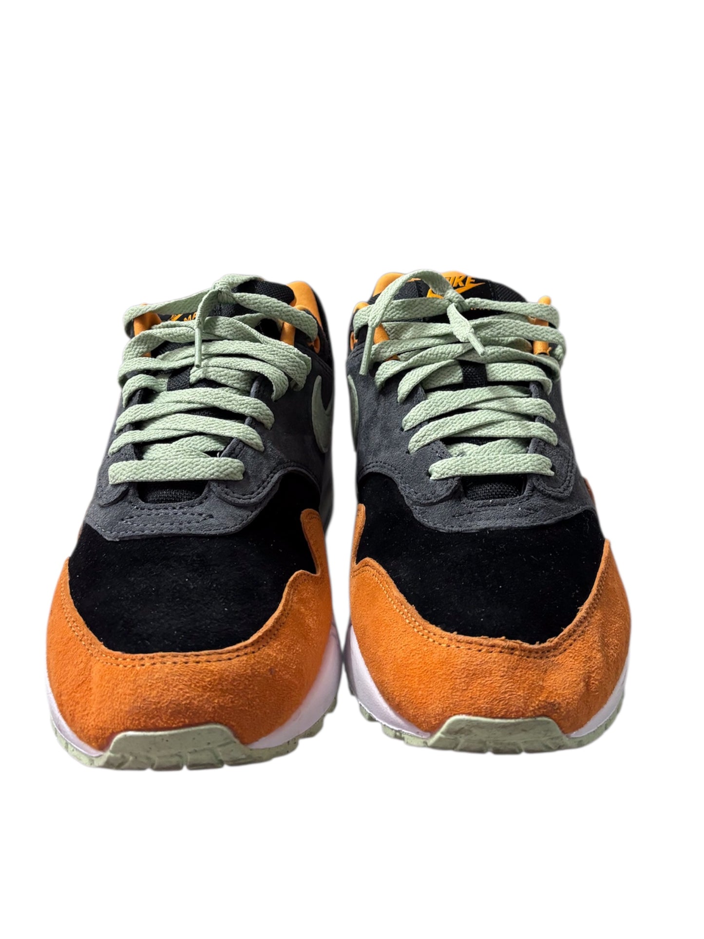 Duck Honey Dew Nike Air Max 1