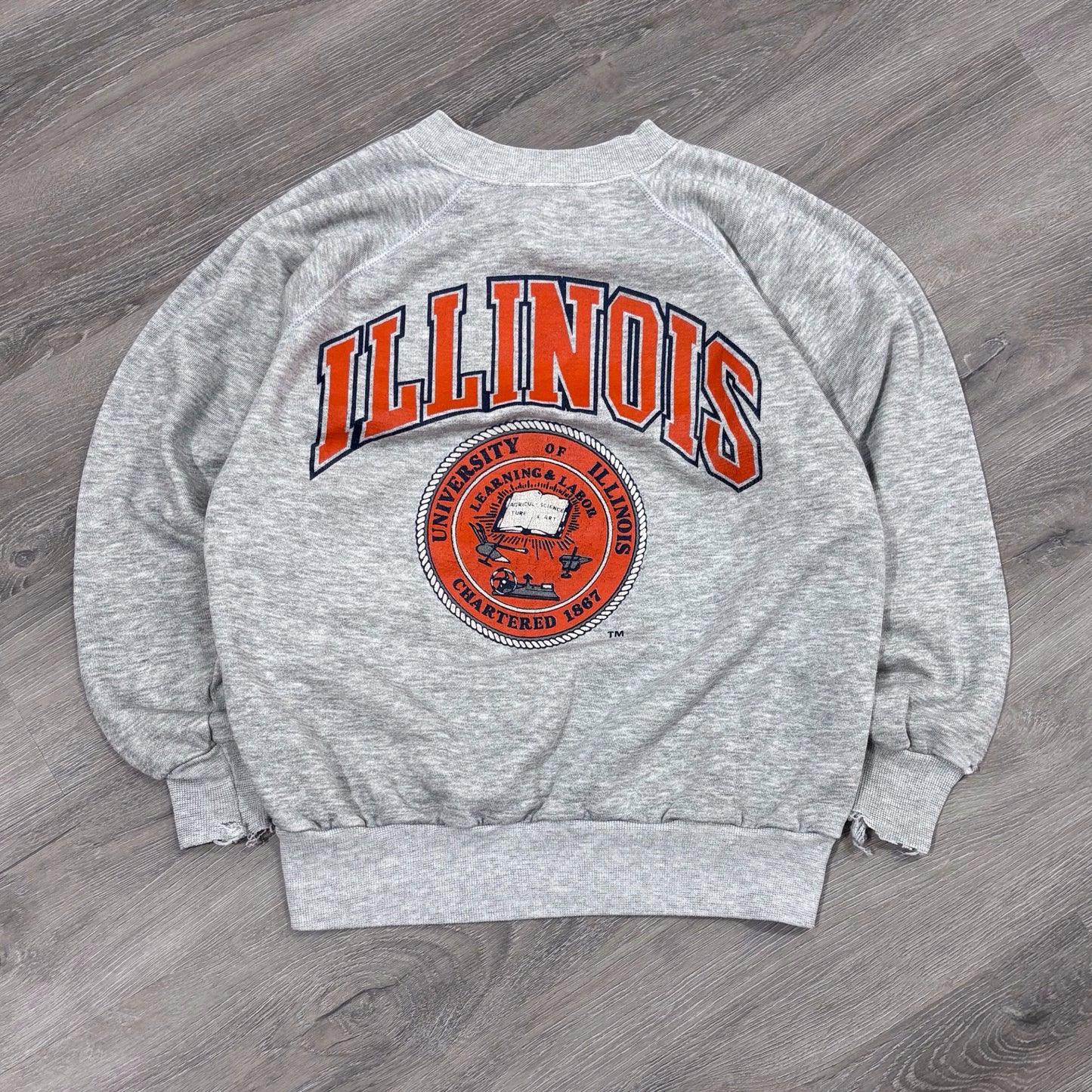 Vintage University of Illinois Crewneck