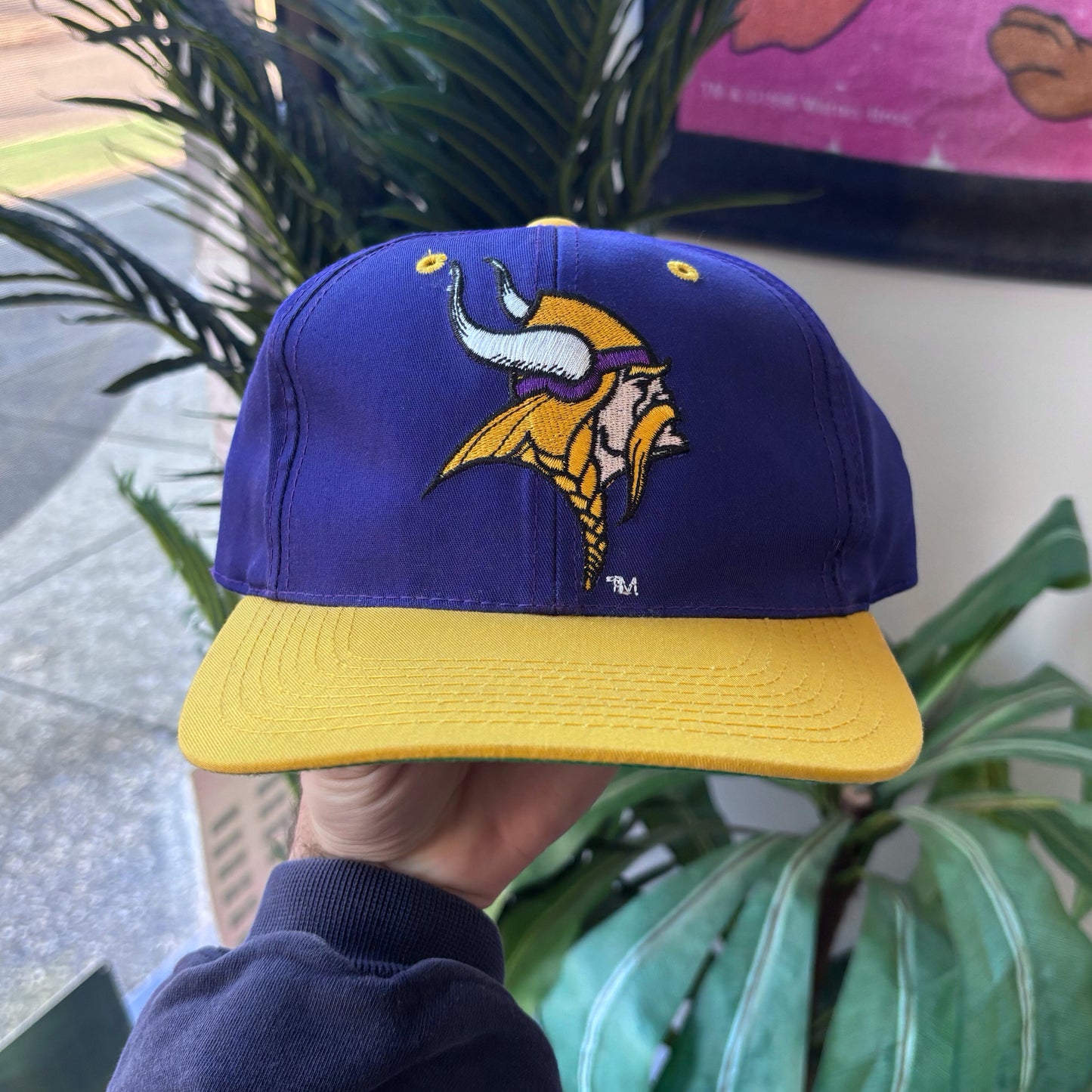 Vintage Minnesota Vikings Hat