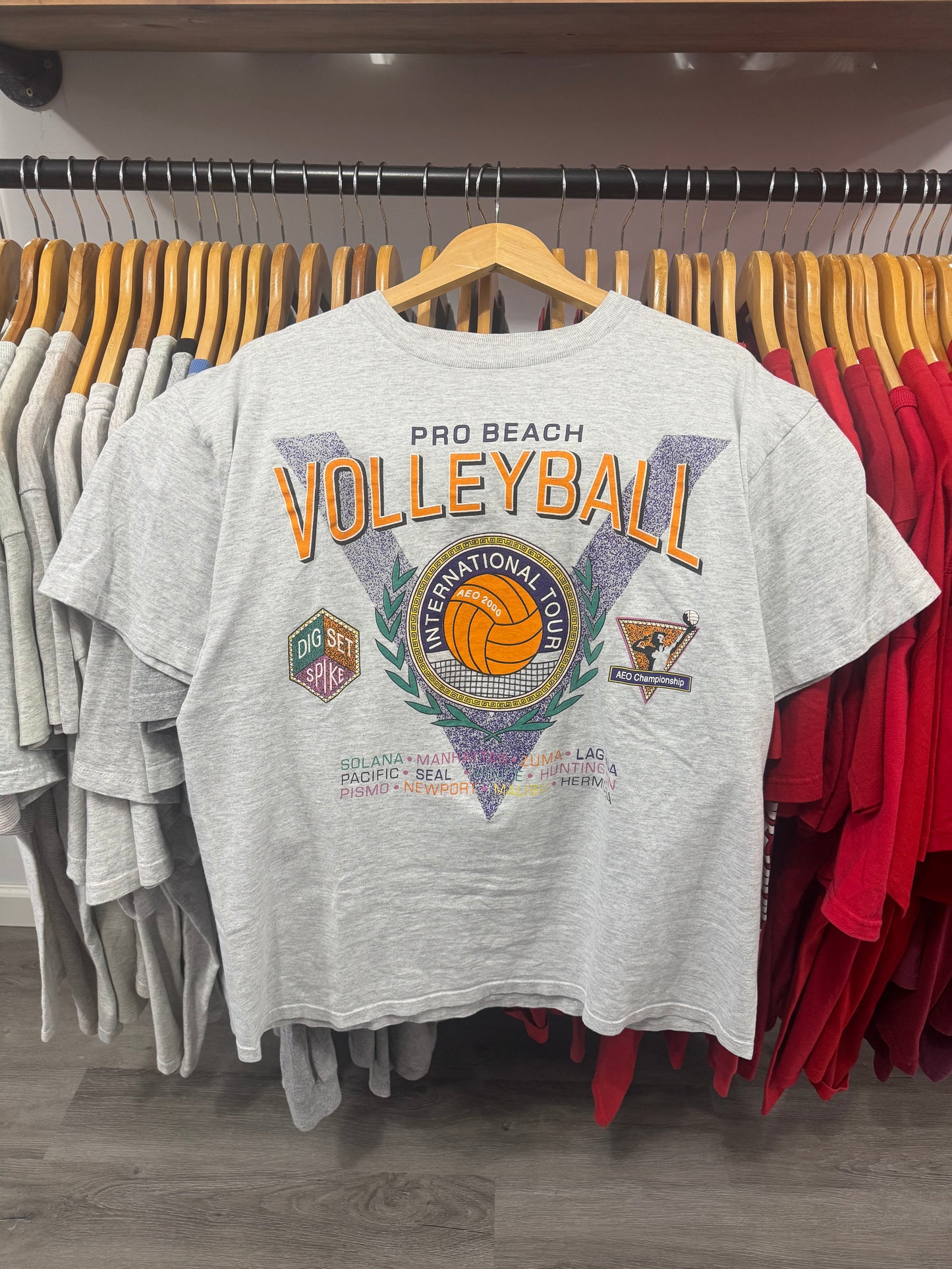 Vintage Volleyball Tee