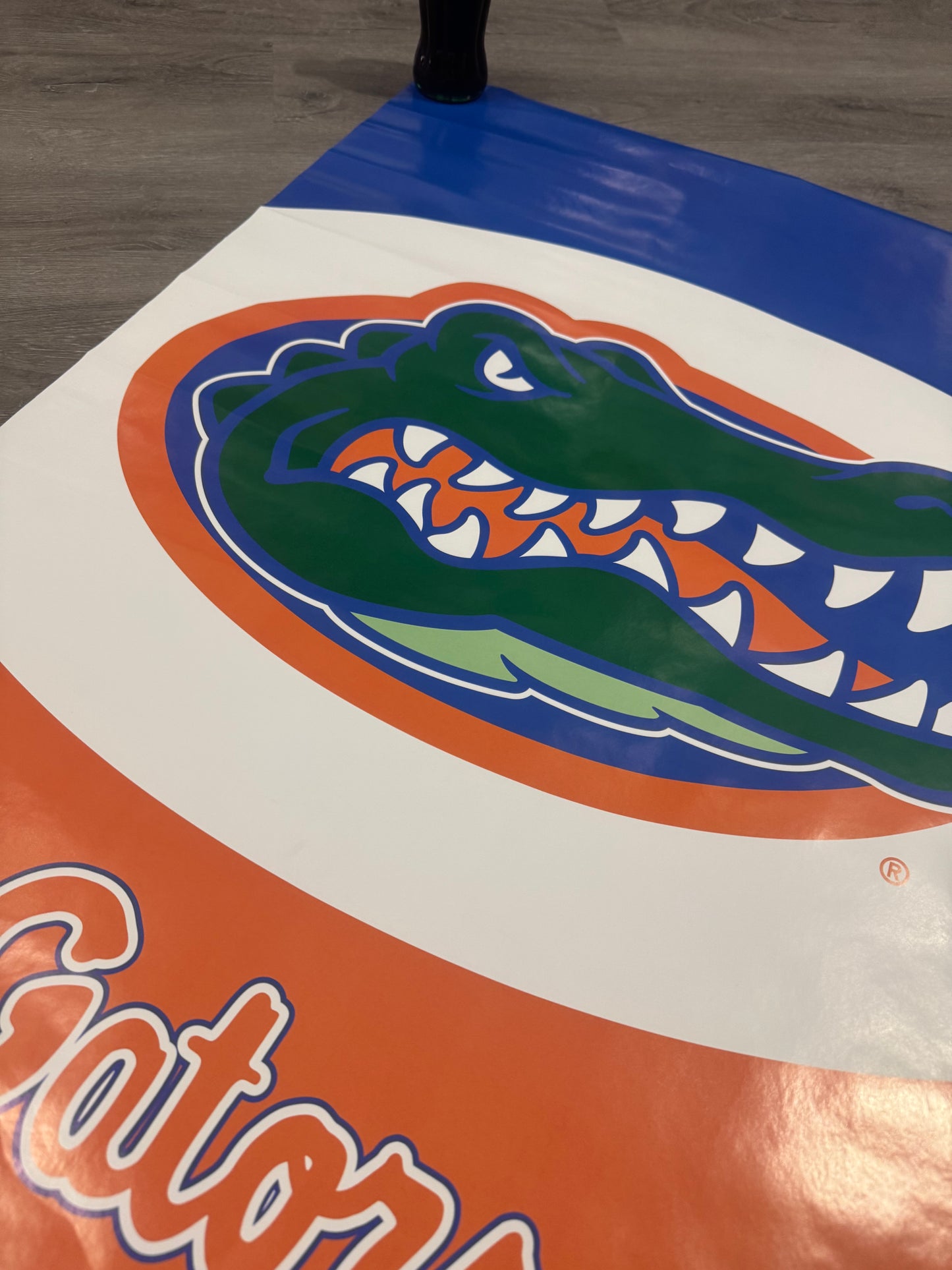 Vintage Florida Gators Poster