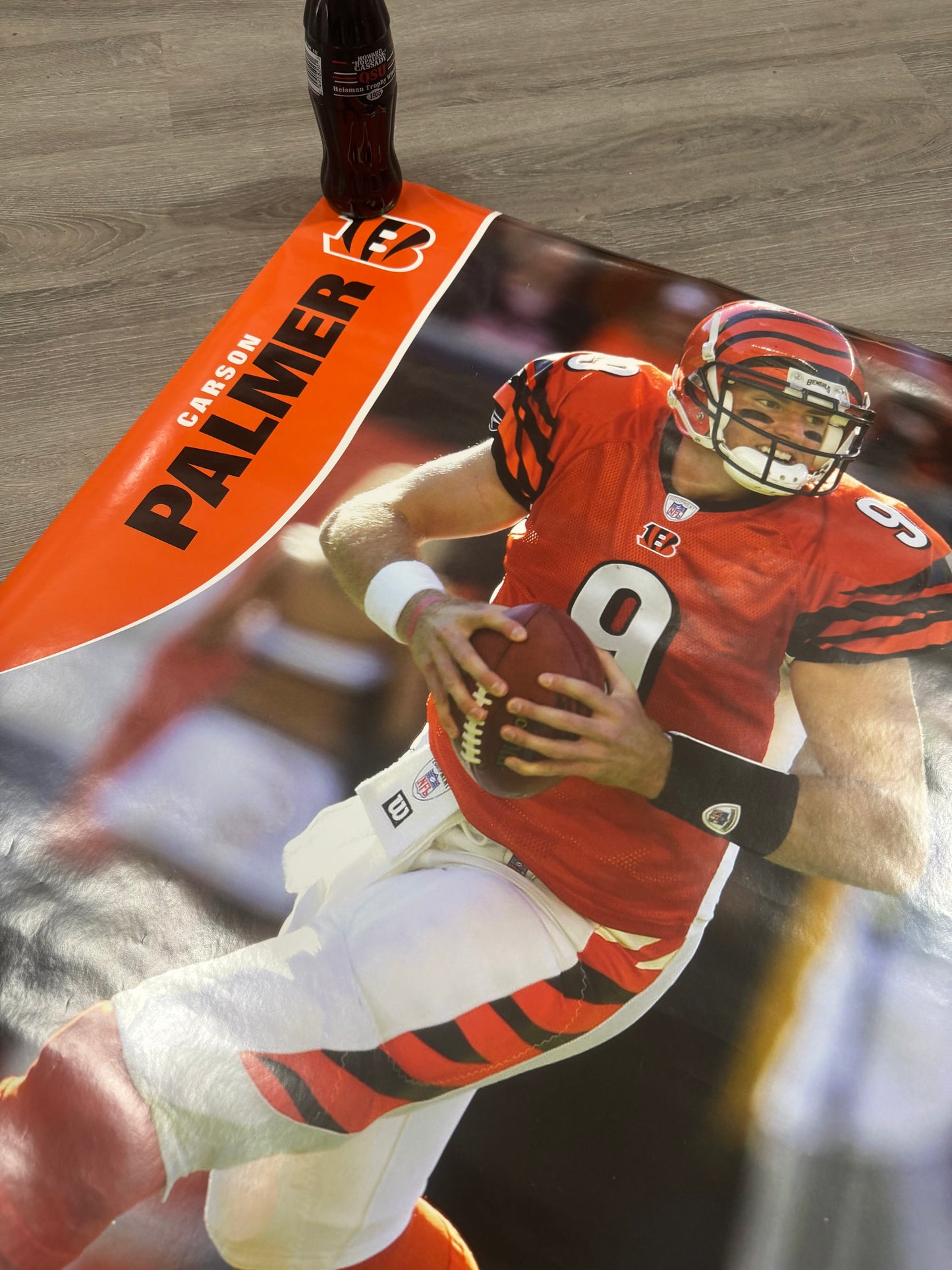 Carson Palmer Poster